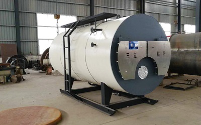 2噸燃?xì)庹羝仩t