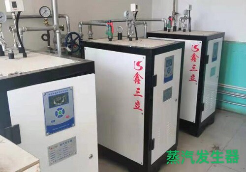 全自動蒸汽發(fā)生器生產廠家